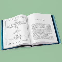 Ultimate Allied Fighters of the Second World War