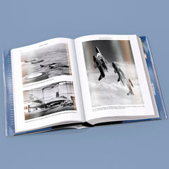 Hawker Hunter: A Classic British Jet Fighter