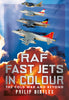 RAF Fast Jets in Colour: The Cold War and Beyond
