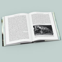 Gotha Aircraft: From the London Bomber to the Flying Wing Jet Fighter