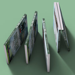 The Southern Since 1953