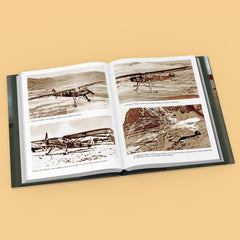 The Fieseler Fi 156 Storch: The First STOL Aircraft