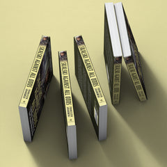 Skalski Against all Odds: The First Allied Ace of the Second World War (paperback edition)